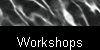  Workshops 