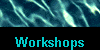  Workshops 